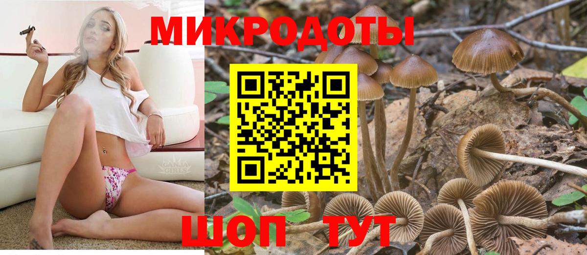 Гагарин  Псилоцибиновые грибы Psilocybe  как найти   Вход с VPN  Галлюциногенные грибы Cubensis 