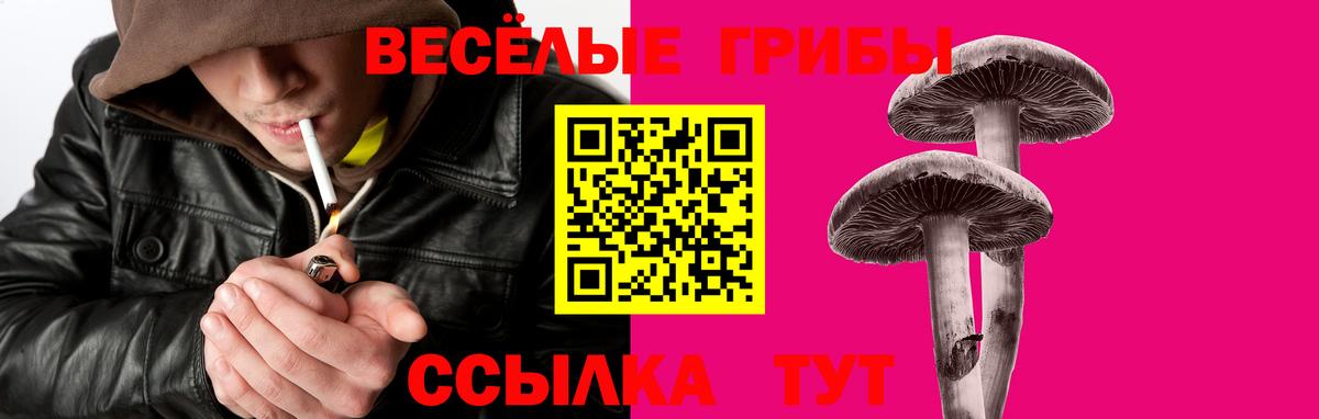Галлюциногенные грибы ЛСД Гагарин